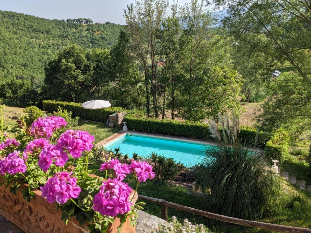 Agriturismo Casentino - Fattoria Ventrina Martina Bagian luar foto
