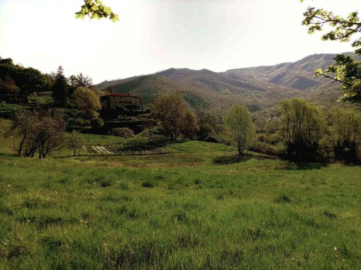 Agriturismo Casentino - Fattoria Ventrina Martina Bagian luar foto