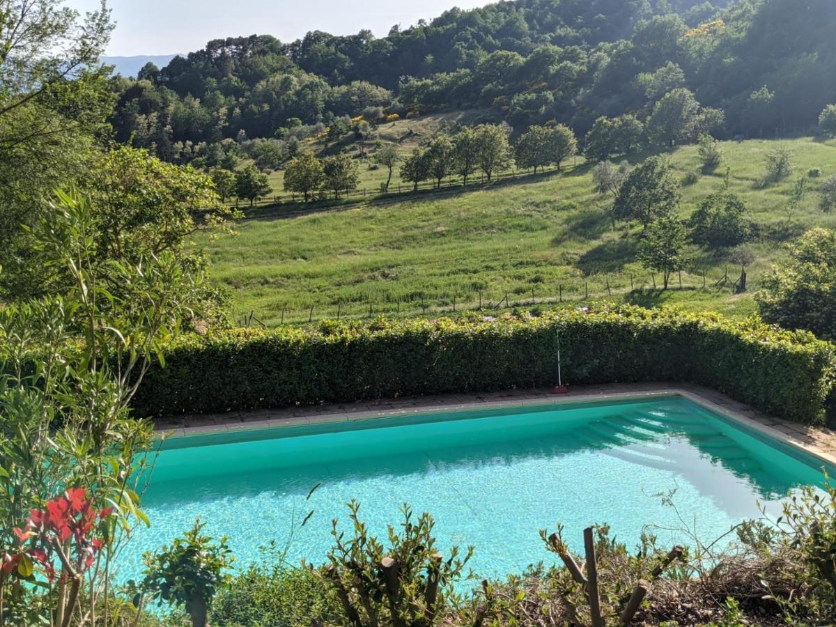 Agriturismo Casentino - Fattoria Ventrina Martina Bagian luar foto