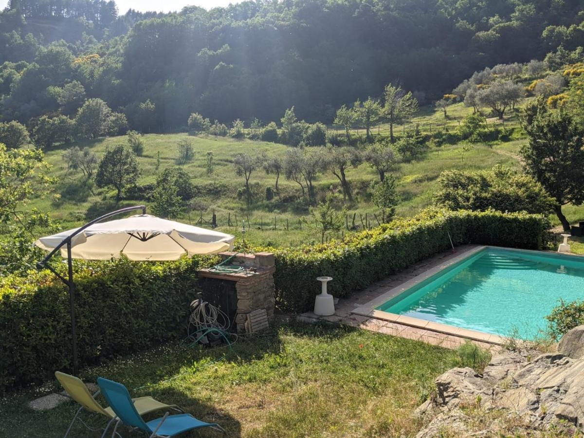 Agriturismo Casentino - Fattoria Ventrina Martina Bagian luar foto